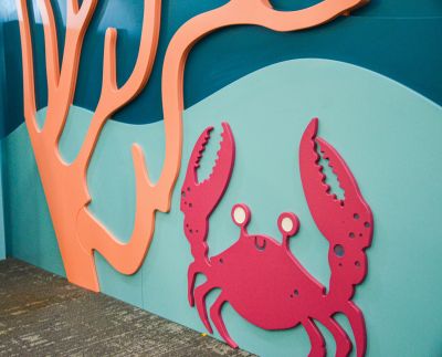 crab 1